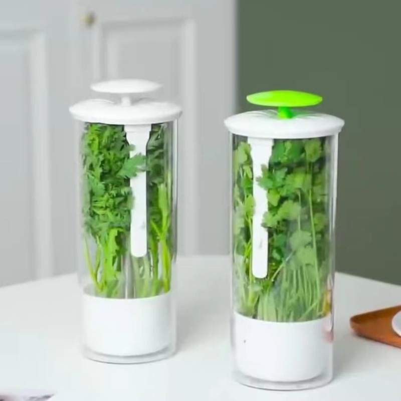 Kitchen Gadgets Organizer - Herb Storage Container Vegetable Green Herb
