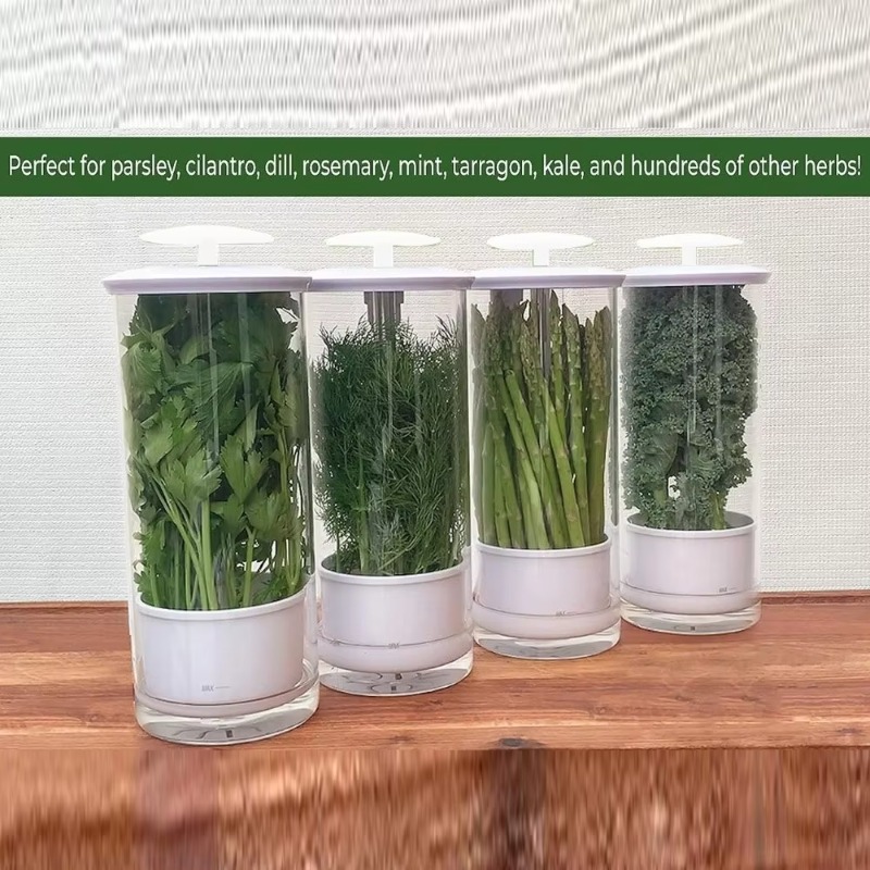 Herb Storage Container Vegetab - đánh giá và giá Kitchen Gadgets Organizer
